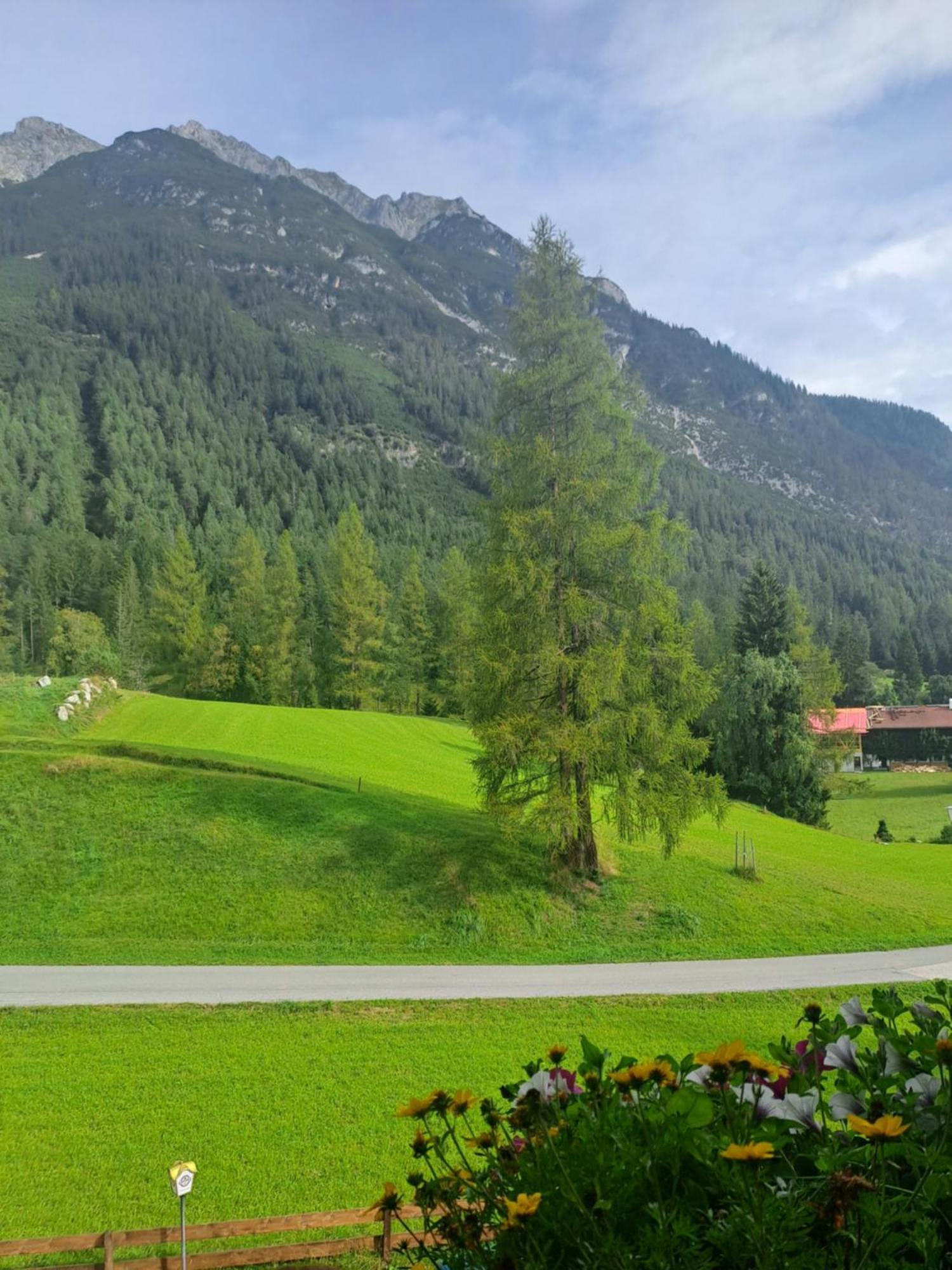 Landgasthaus Appartement Birkegg Leutasch Dış mekan fotoğraf